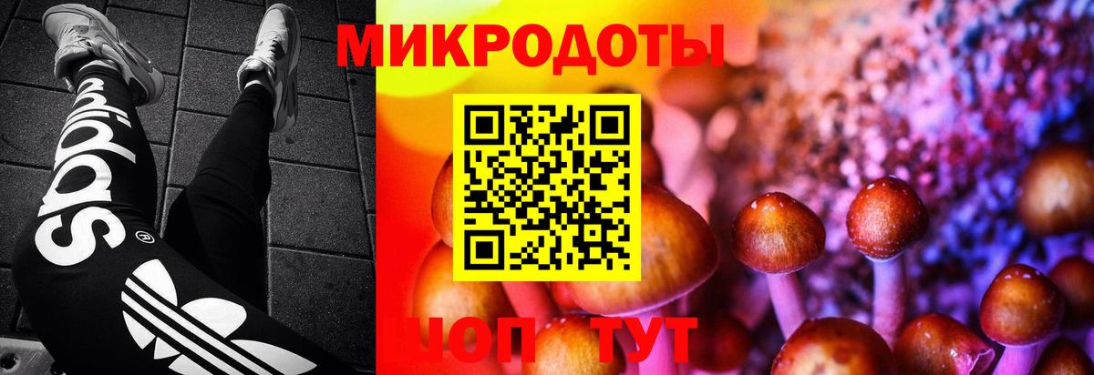 Псилоцибиновые грибы Magic Shrooms Тимашёвск